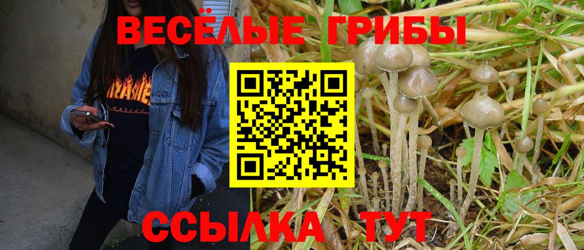 Будённовск  Псилоцибиновые грибы мицелий  Вход с VPN 