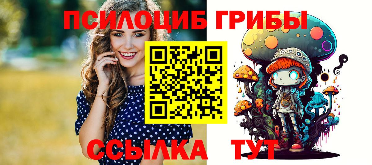 Галлюциногенные грибы прущие грибы Будённовск